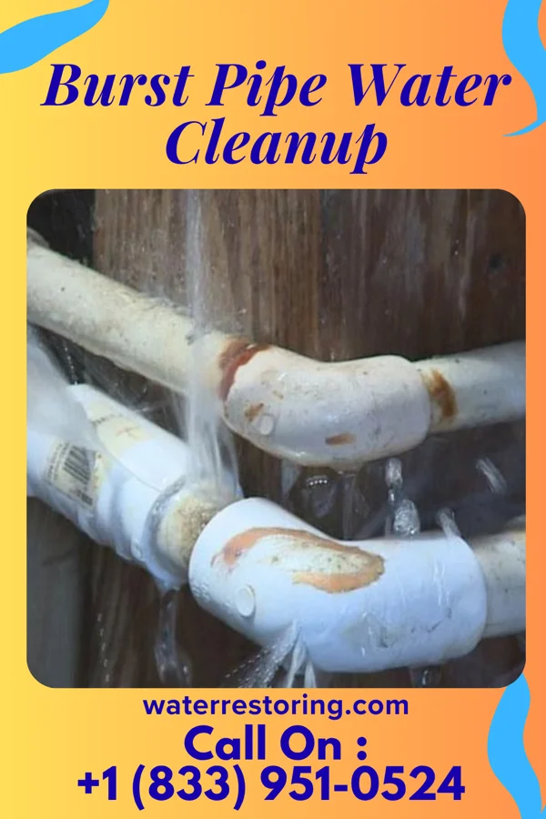 Burst Pipe Water Cleanup in Spencerport, NY