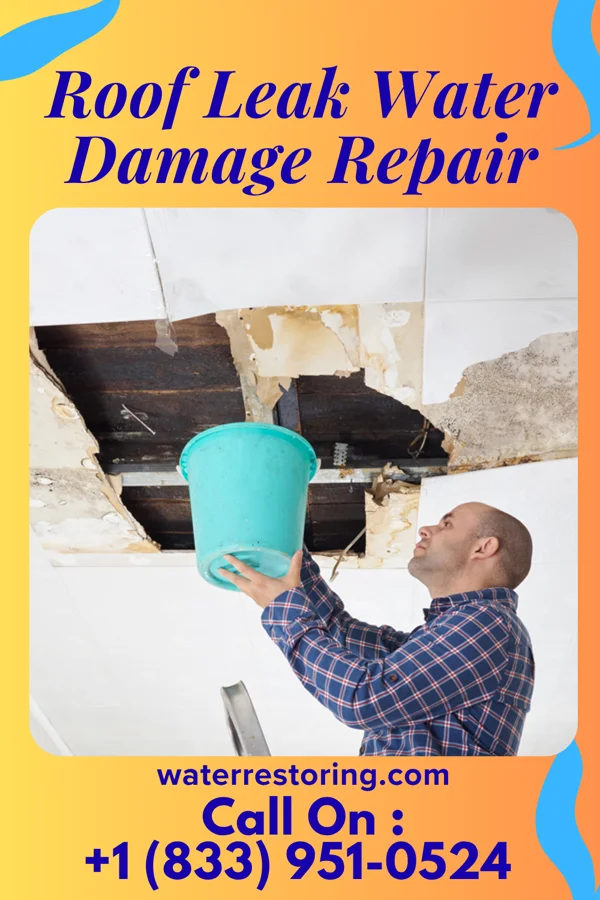Roof Leak Water Damage Repair in Spencerport, NY